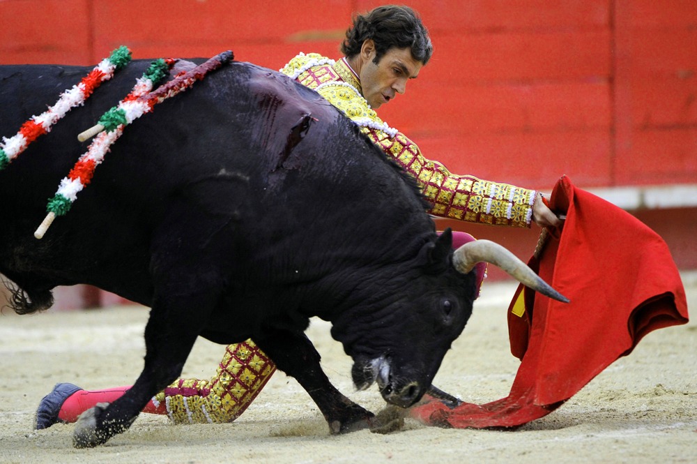 Regresa José Tomás