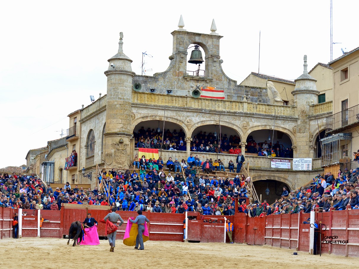 El novillo que debió ser indultado