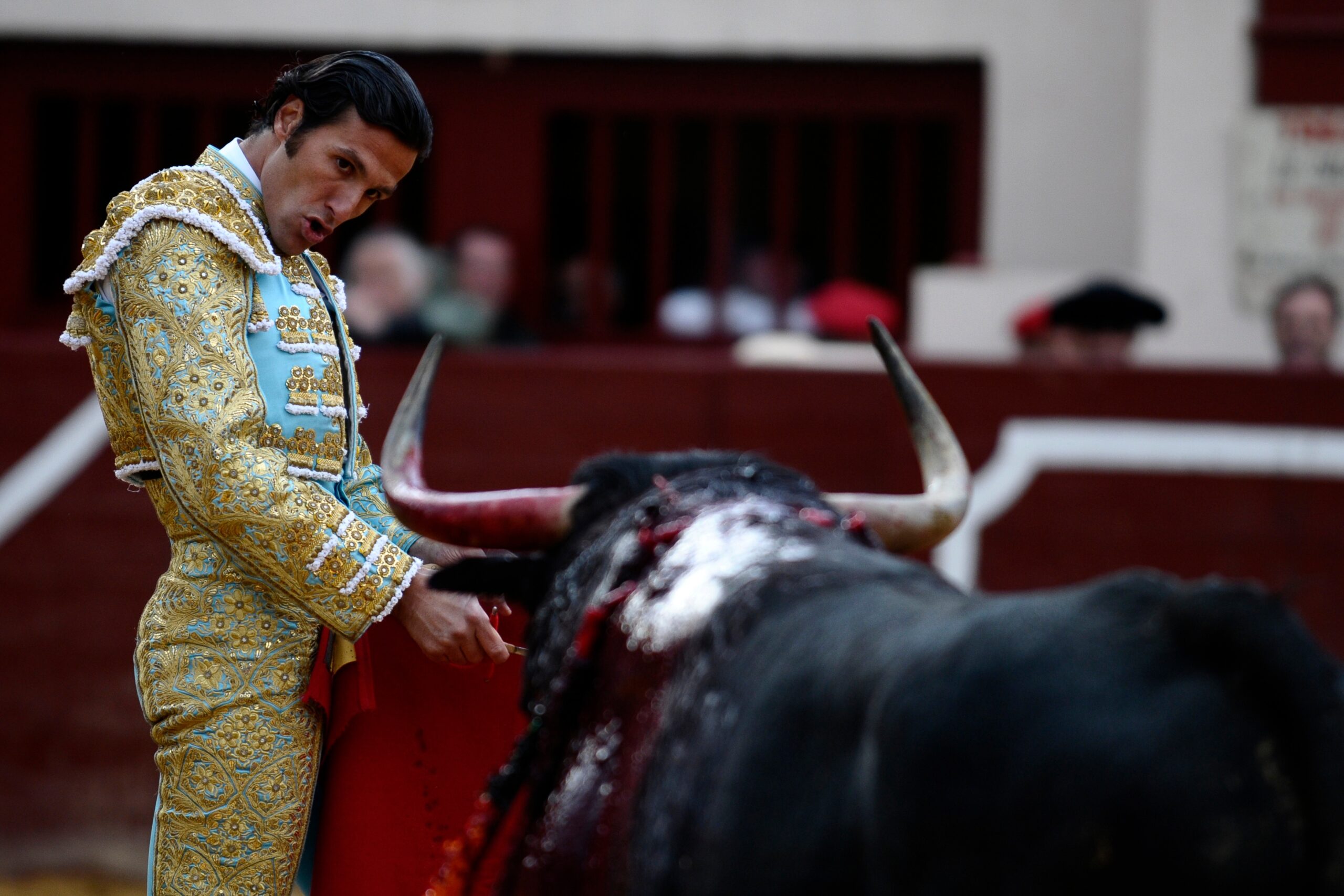 Hablamos con David Mora