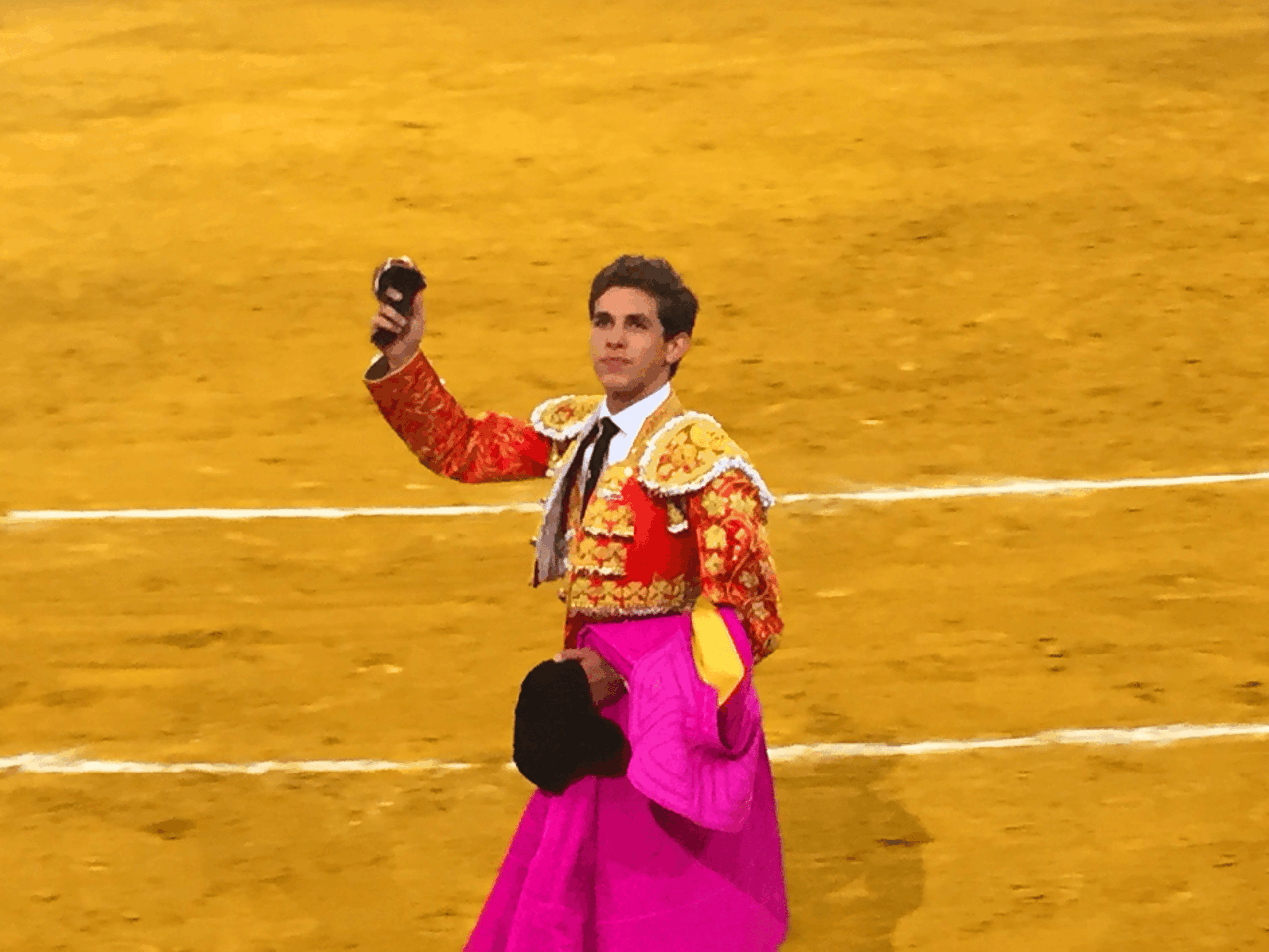 La tarde en que falló la espada. Novillada Vistalegre