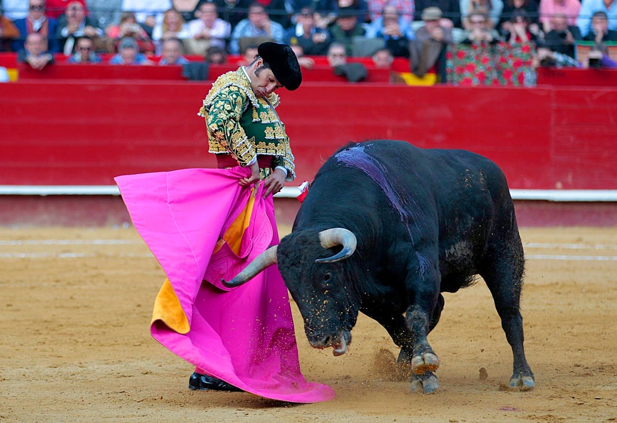 Morante descarta Madrid