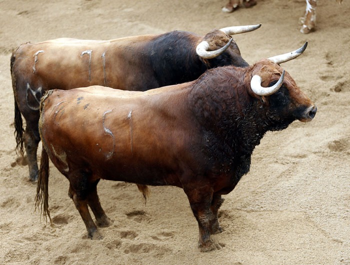 Toros y cuadrillas para la duodécima del abono sevillano