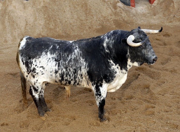 Toros y cuadrillas para séptima de Sevilla