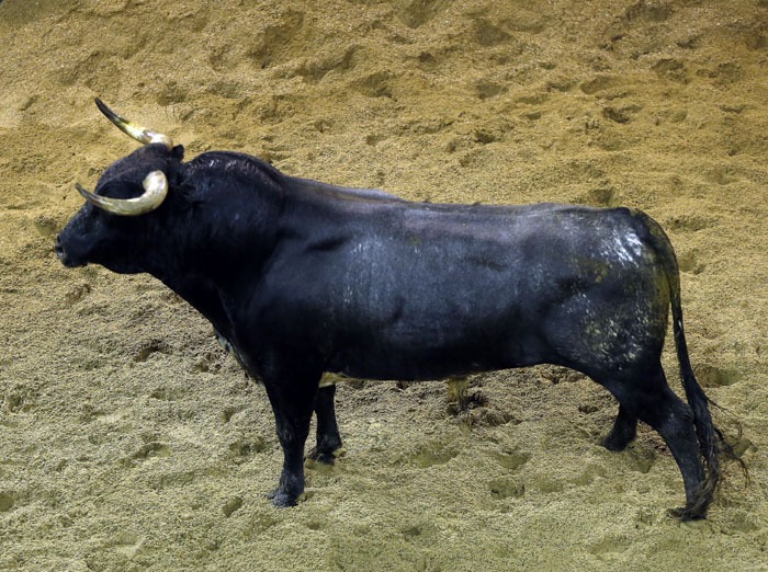 Toros y cuadrillas para la última de feria en Sevilla