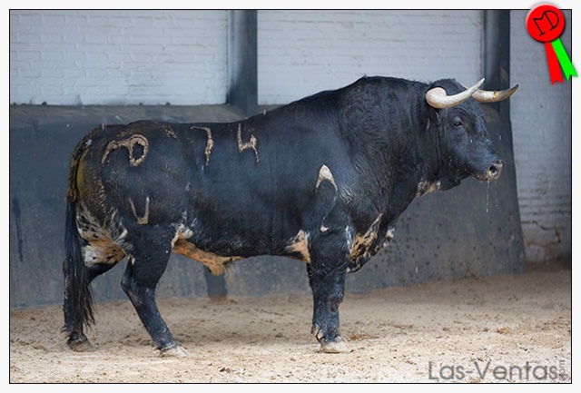 Toros y cuadrillas para la 3ª del abono madrileño