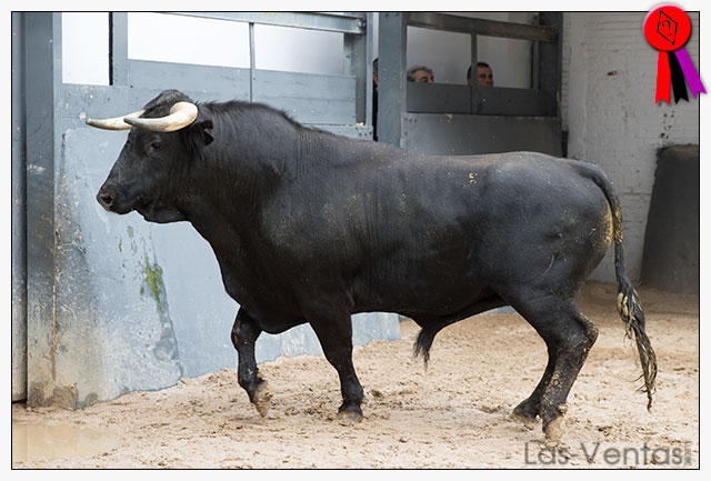 Toros, cuadras y cuadrillas para la 1ª de rejones en Madrid