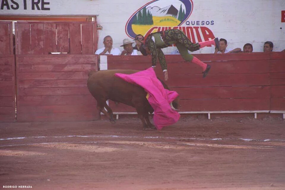 «El Pana» responde ante estímulos auditivos