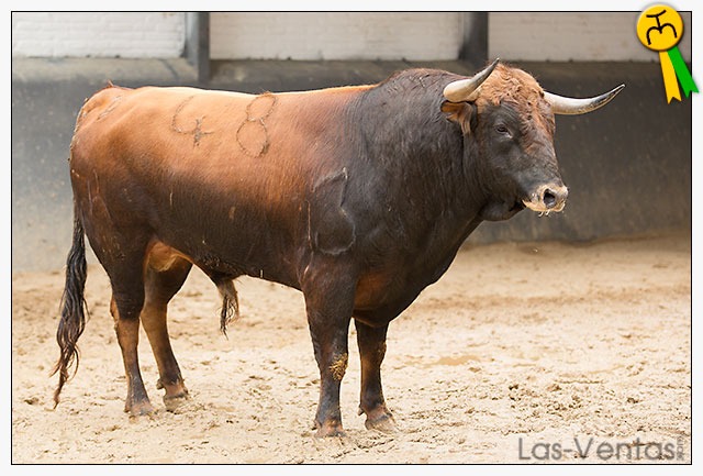 Novillos y cuadrillas para esta tarde en Las Ventas
