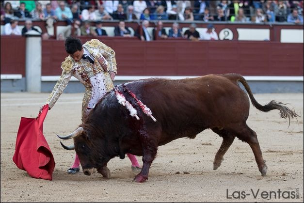 Juan de Castilla por Luis David Adame para la última novillada de abono