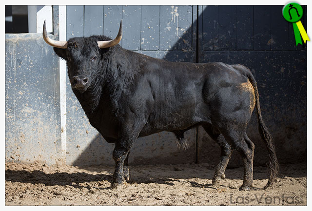 Toros y cuadrillas para la 5ª de abono en Madrid