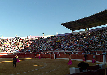 Toros en Torrejón