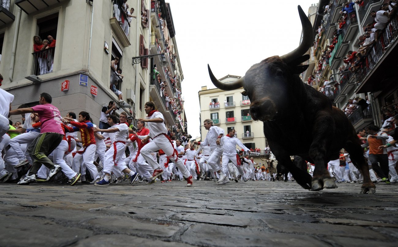 Ganaderías para las carreras de SanFermín