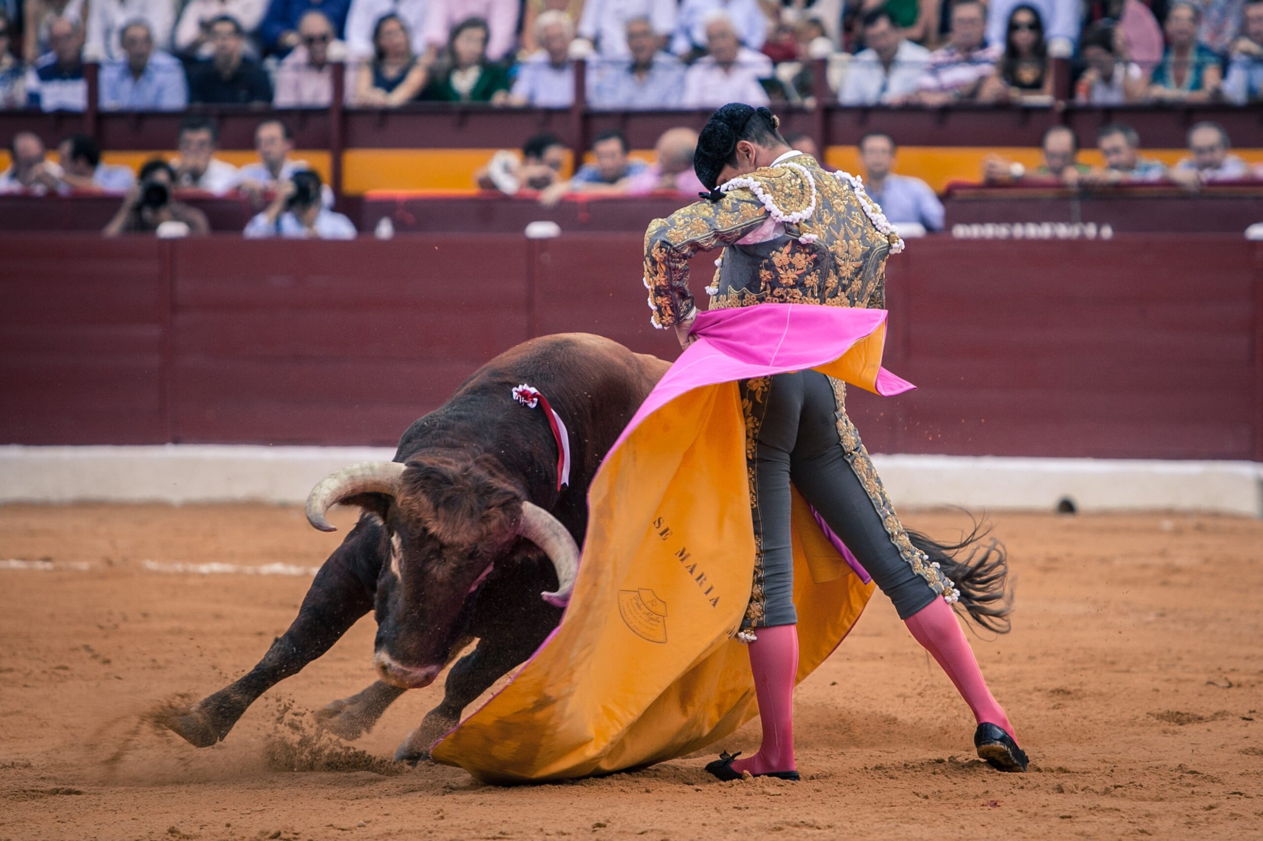 Fin de semana cargado de toros. Consulta tu plaza