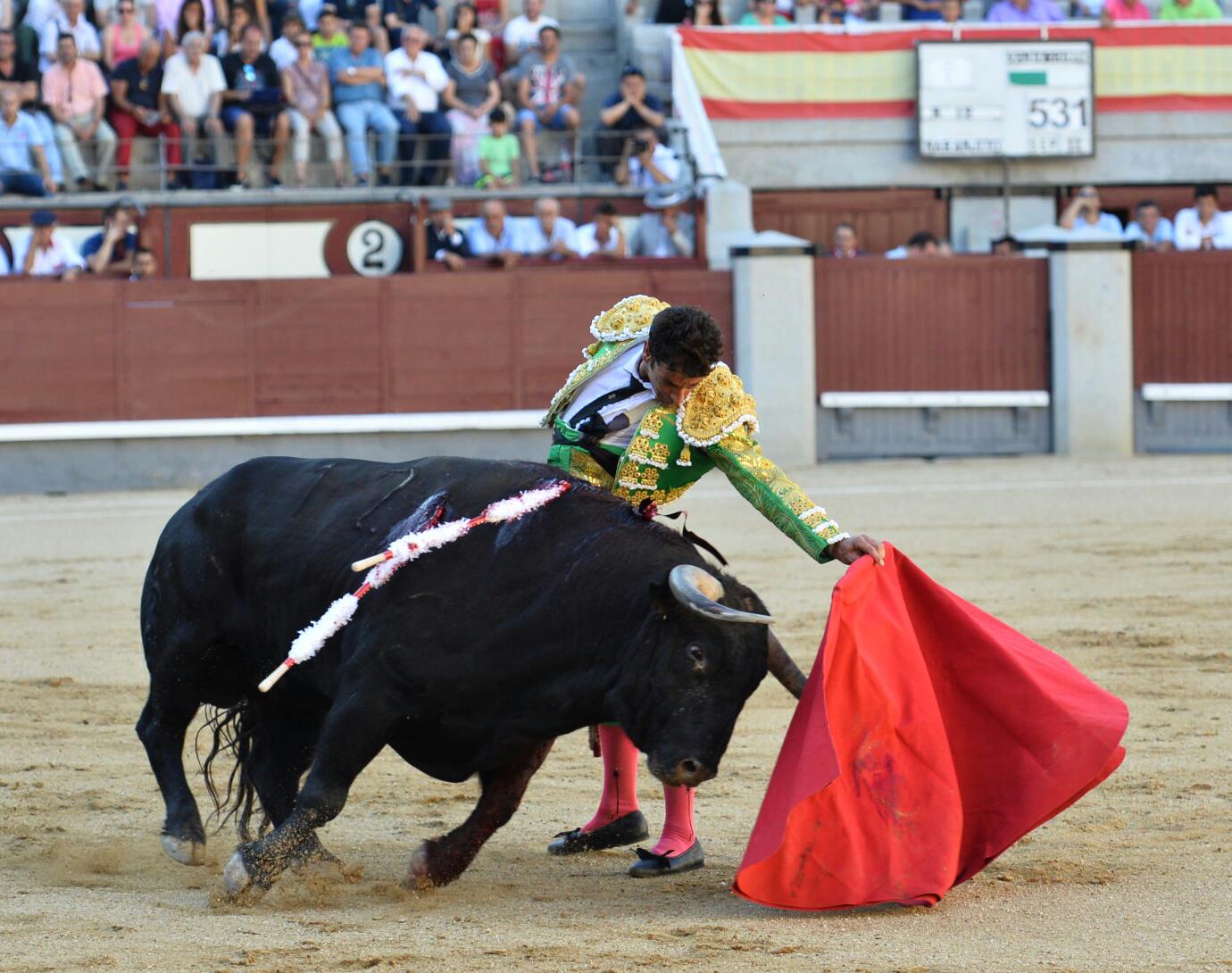 Vuelta al ruedo para Ricardo Torres y firme Pepe Moral con el capote en Las Ventas