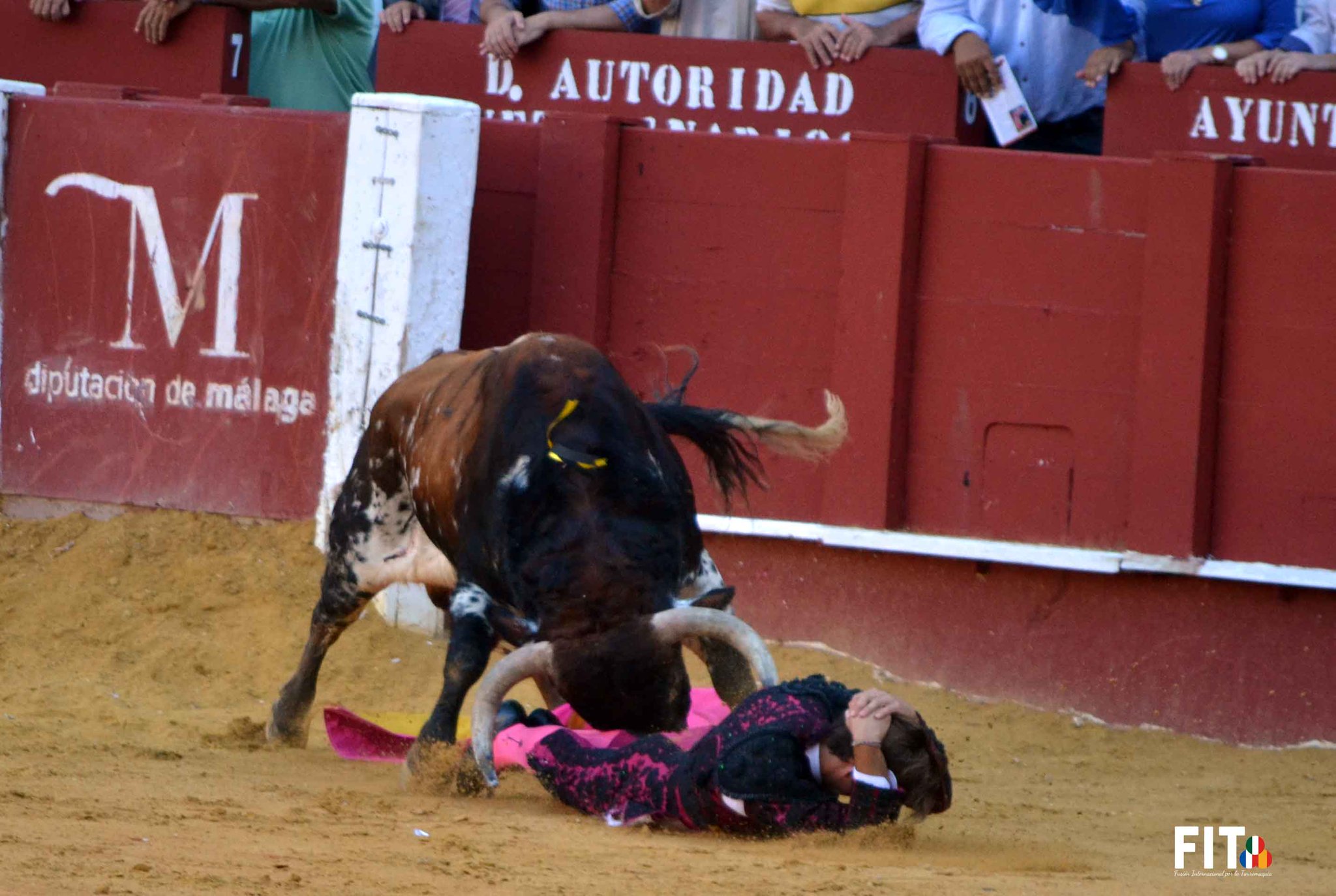 «Suso» grave tras ser corneado en Málaga
