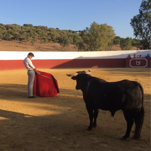 Roca Rey reaparecerá en Palencia