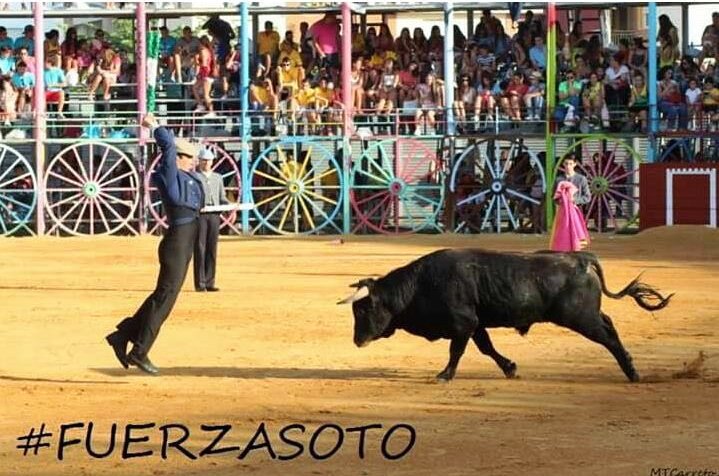 Definido el cartel del festival a beneficio de José Manuel Soto