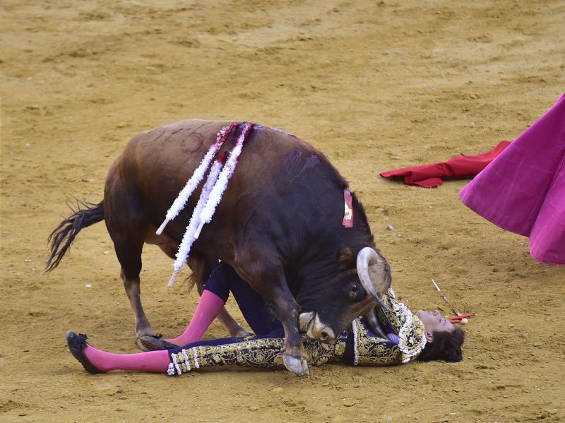 Roca Rey «Conmoción y traumatismo craneocefálico» de nuevo.