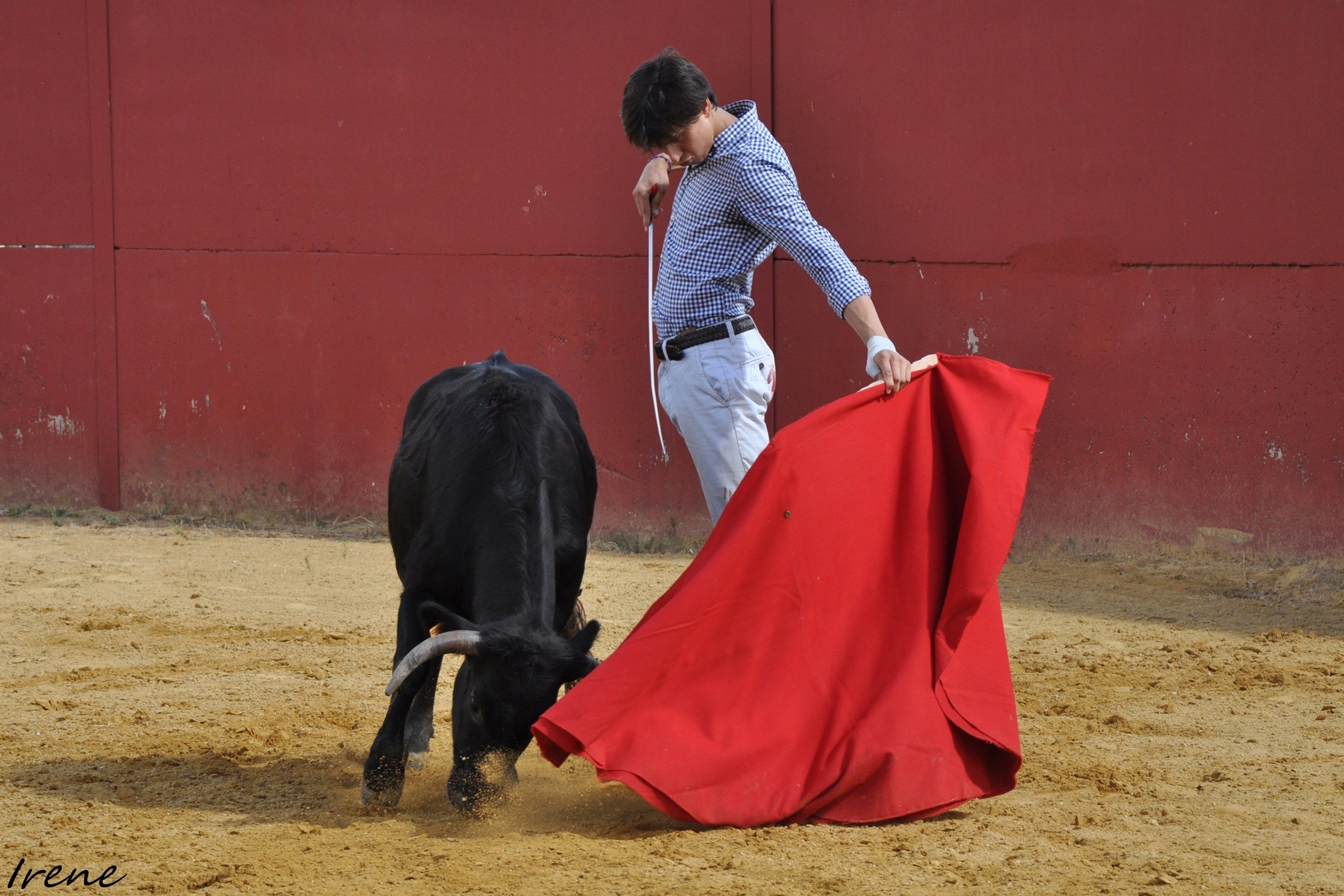 Roca Rey vuelve a torear