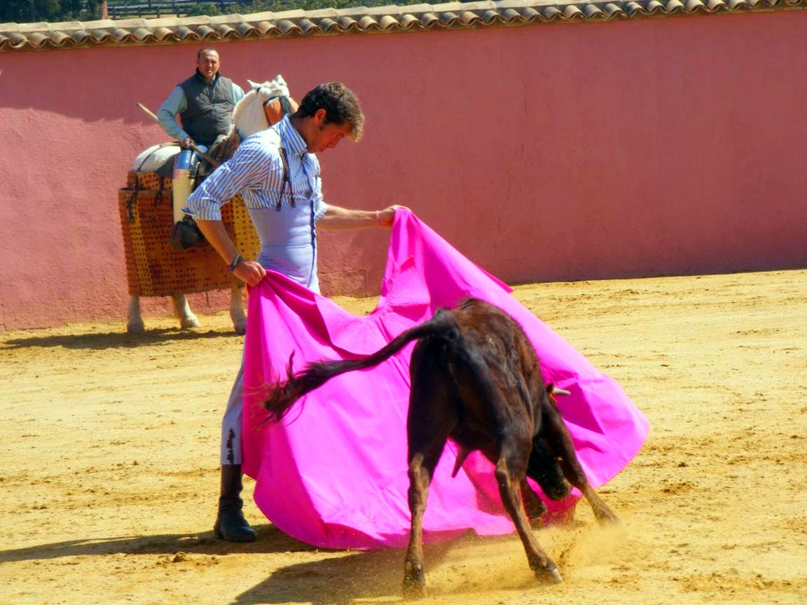 Manuel Escribano vuelve a torear