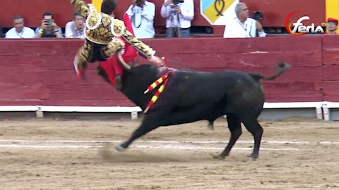 Daniel Luque corneado en Acho