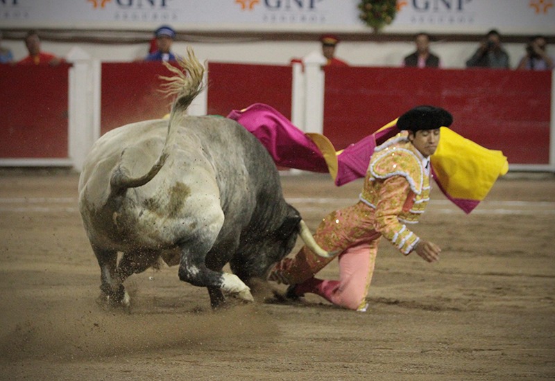 Luis David Adame, traumatismo craneocefálico y fractura de clavícula
