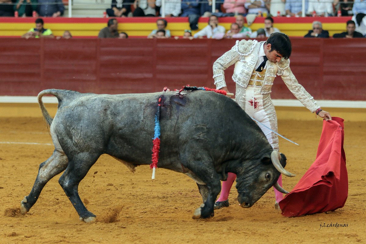 Cerrado el cartel de la Victorinada en Madrid