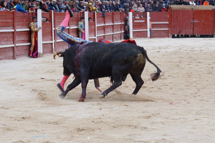 Curro Durán herido grave en Ciudad Rodrigo