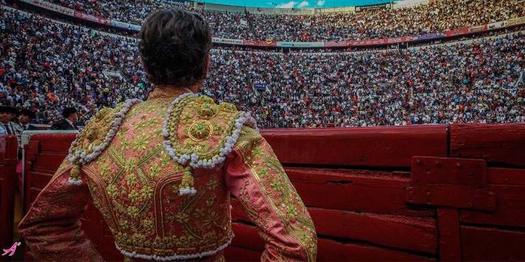 Un año del regreso de José Tomás a La México