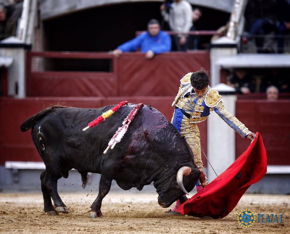 Tarde para la división de opiniones en Madrid