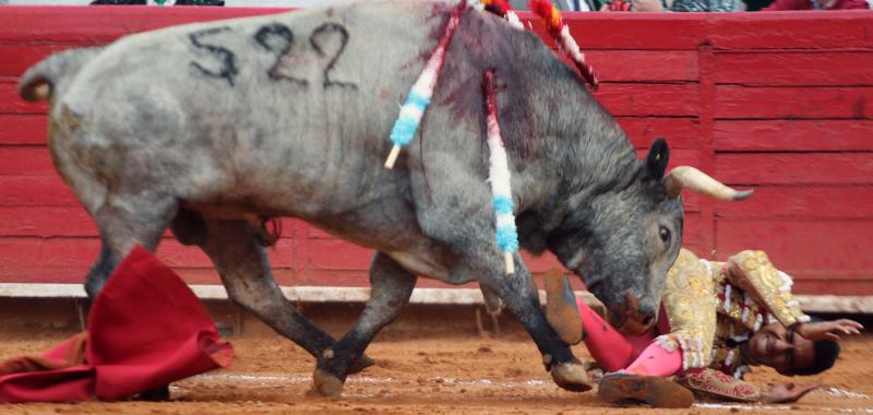 Gravísima cornada a Antonio Romero en La México