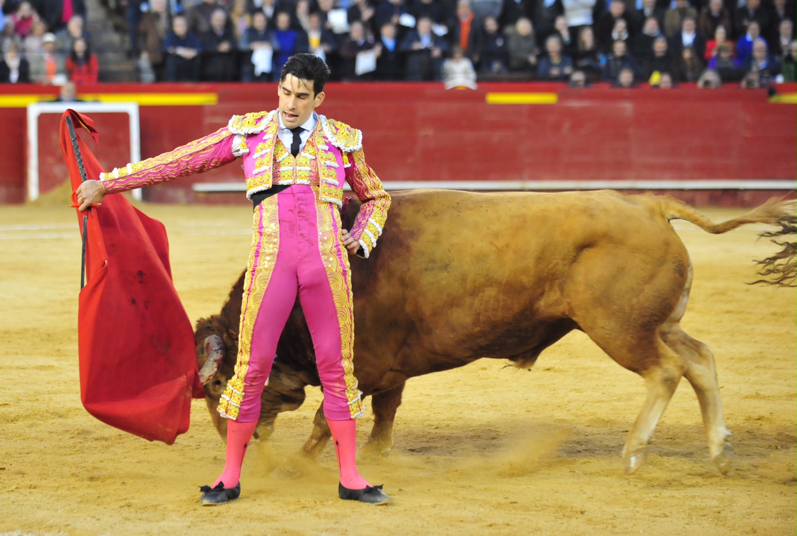 Alberto López Simón: «Dar la enhorabuena a Justo Hernández»