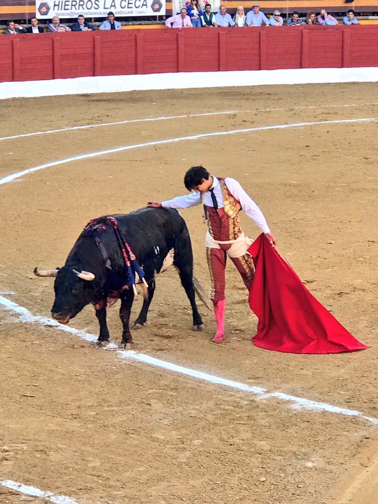 Roca Rey, posible afectación del coxis