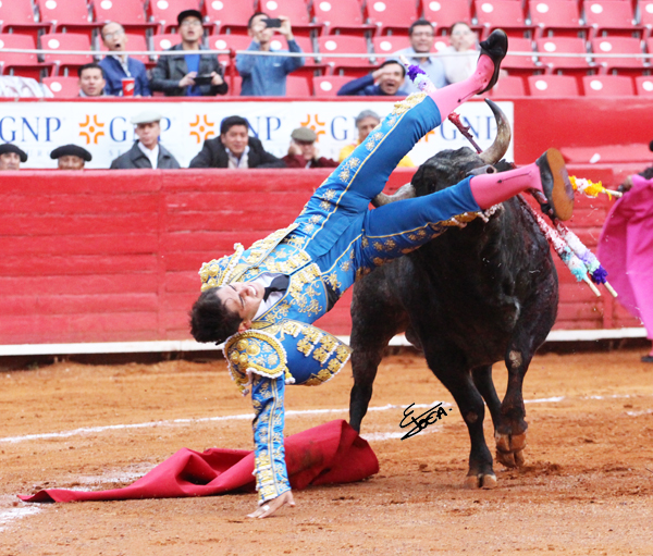 Gerardo Adame, 55 cms de cornadas