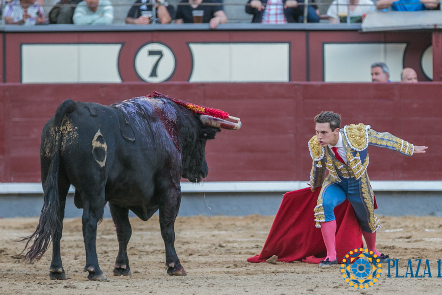 Sangre, sudor y lágrimas… la novillada en Madrid