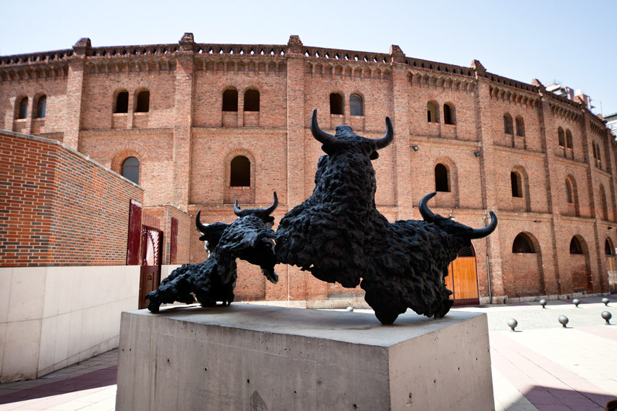 Vuelven los toros a Valladolid por San Pedro Regalado