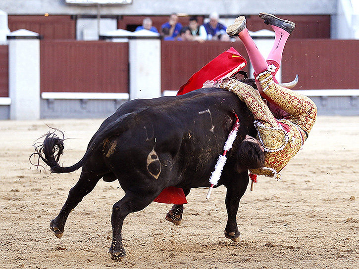 Pacheco, cornada de 25 cms que destroza el vasto interno