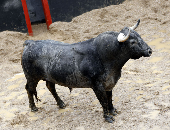 Toros y cuadrillas para la victorinada de Sevilla