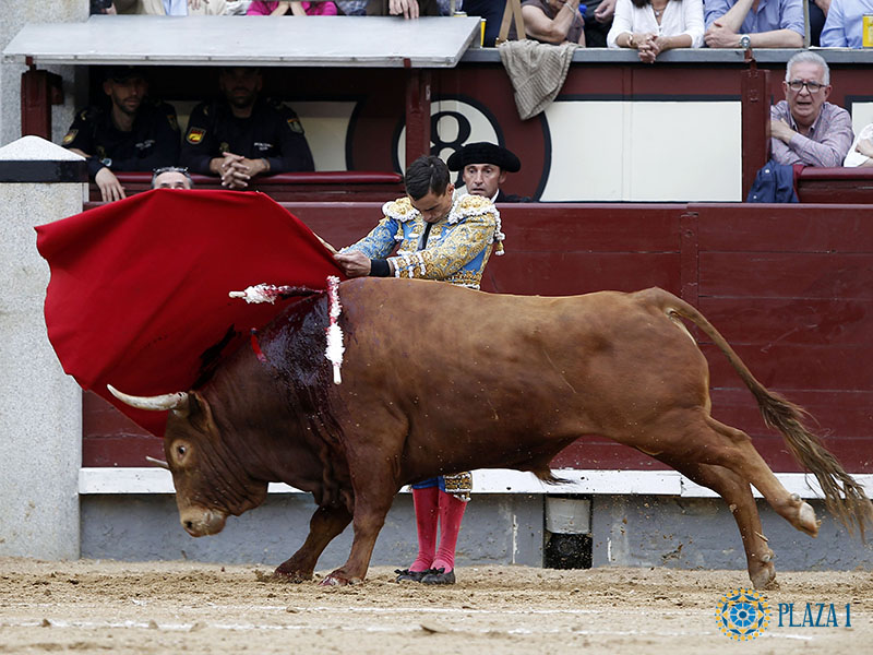 Deslucida tarde de Montalvo en Madrid
