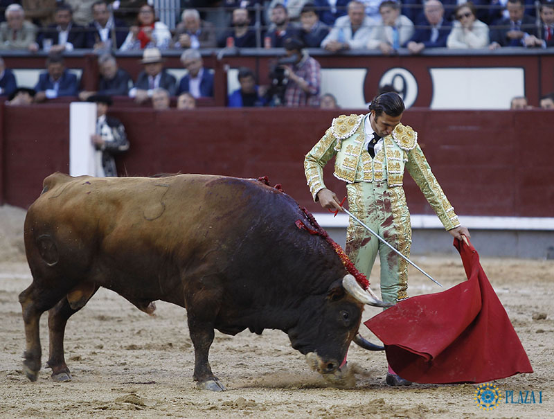 Oreja a la pureza de David Mora en una tarde sin toro