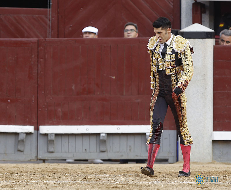 Alejandro Talavante, cornada de 20 cms en Las ventas