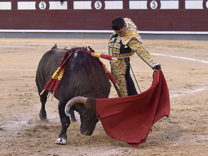 Oreja de ley para un soberbio Alejandro Talavante