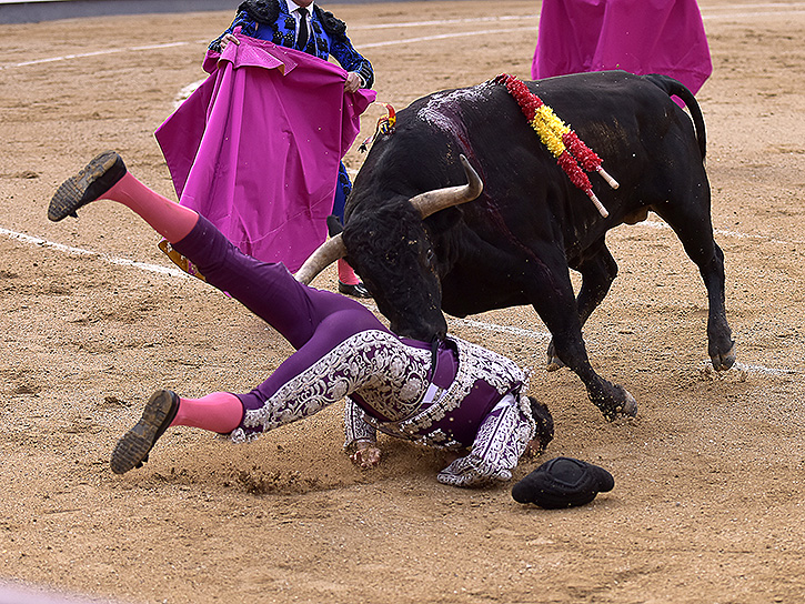 «Lebrija», grave cornada de 20 cm en Las Ventas