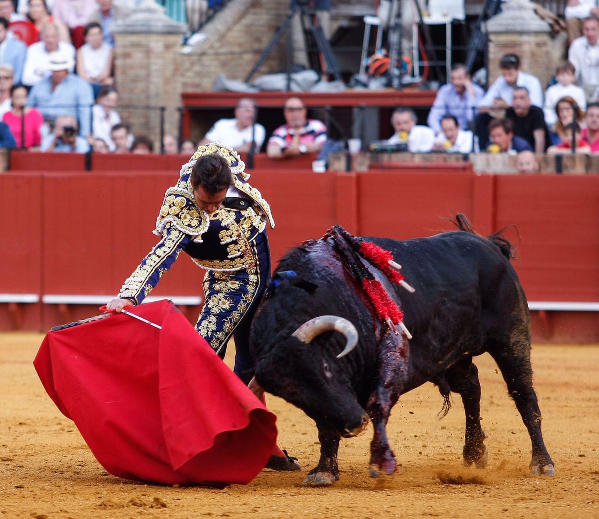 El Fandi quiere torear en Puertollano