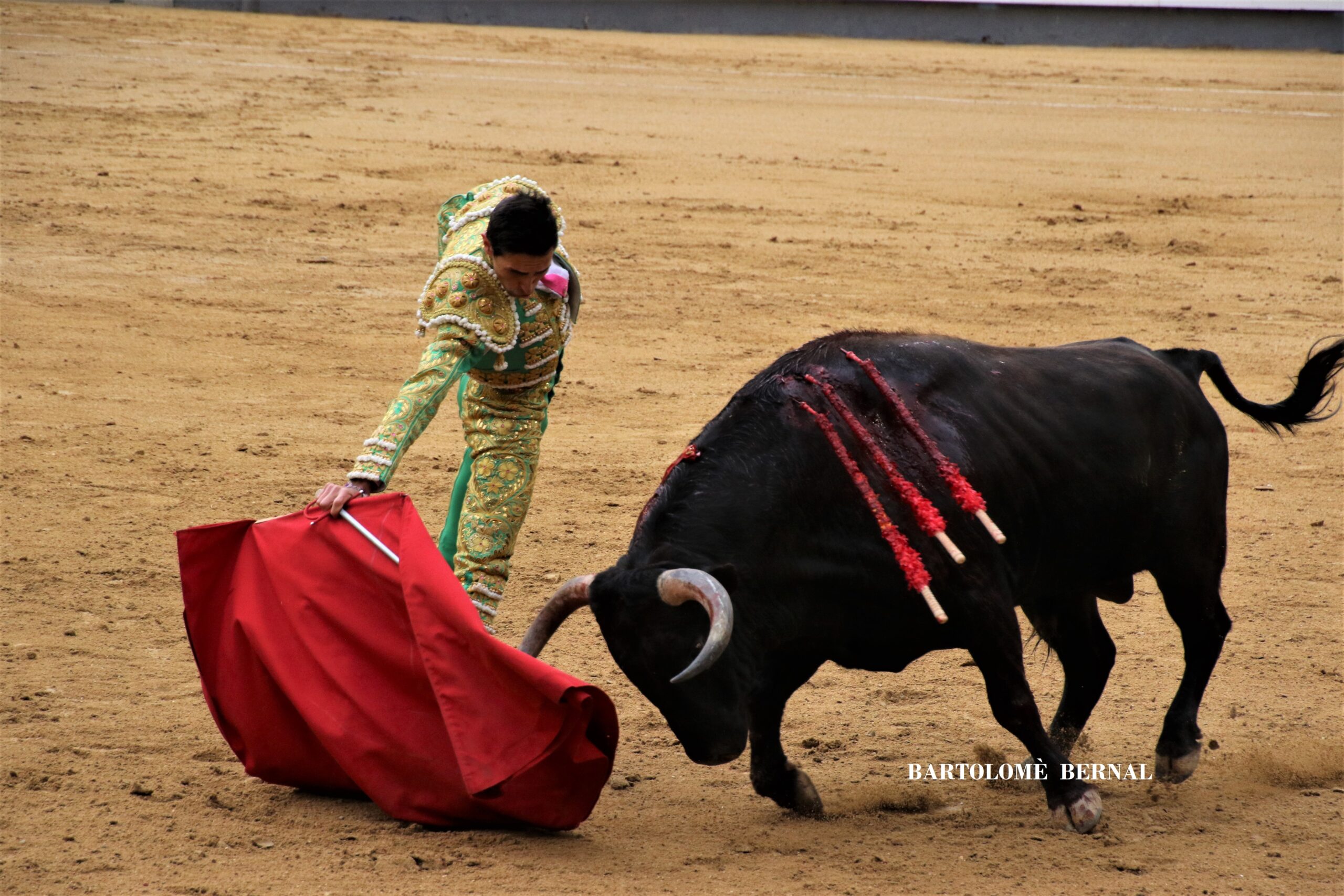 Foto-Galería del primer festejo de la Feria de la Comunidad en Madrid