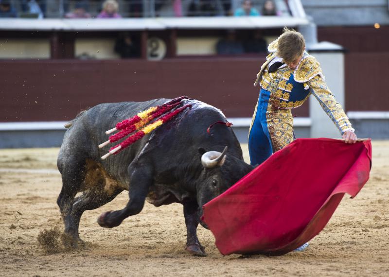 Variedad en la apertura de San Isidro