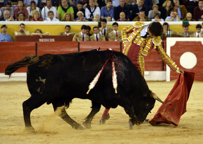Triunfal día para Roca Rey