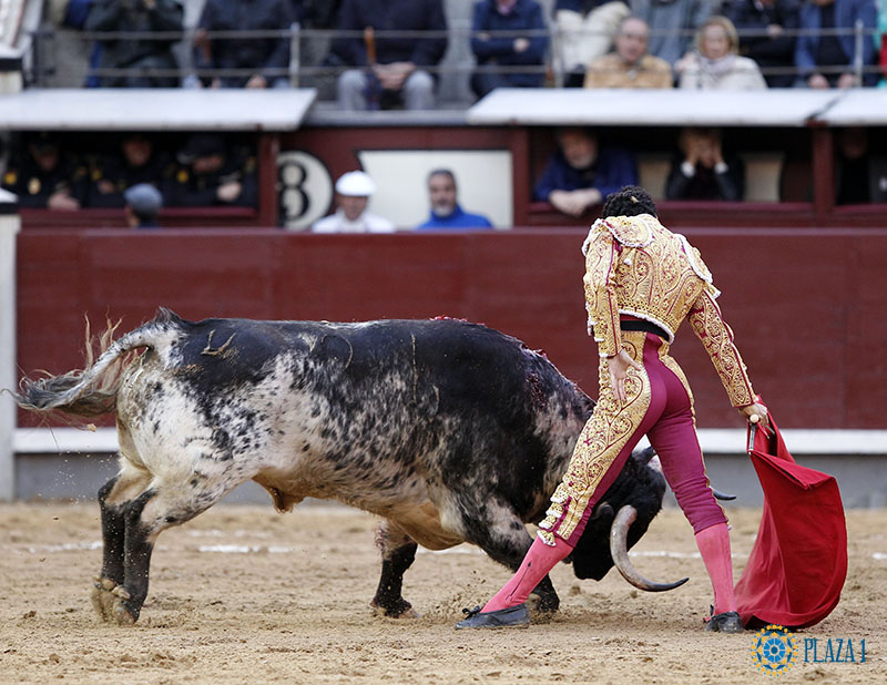 Morenito estrena el casillero en Madrid