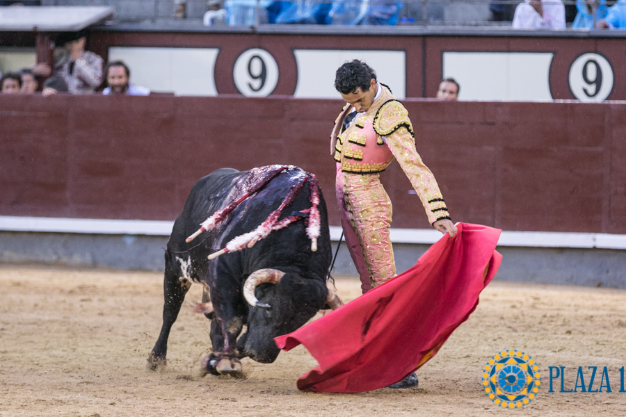 Oreja a la frescura de Iván Vicente