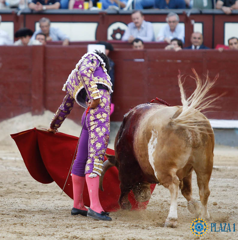 Oreja a Colombo en la tarde del recuerdo a Iván Fandiño en Madrid